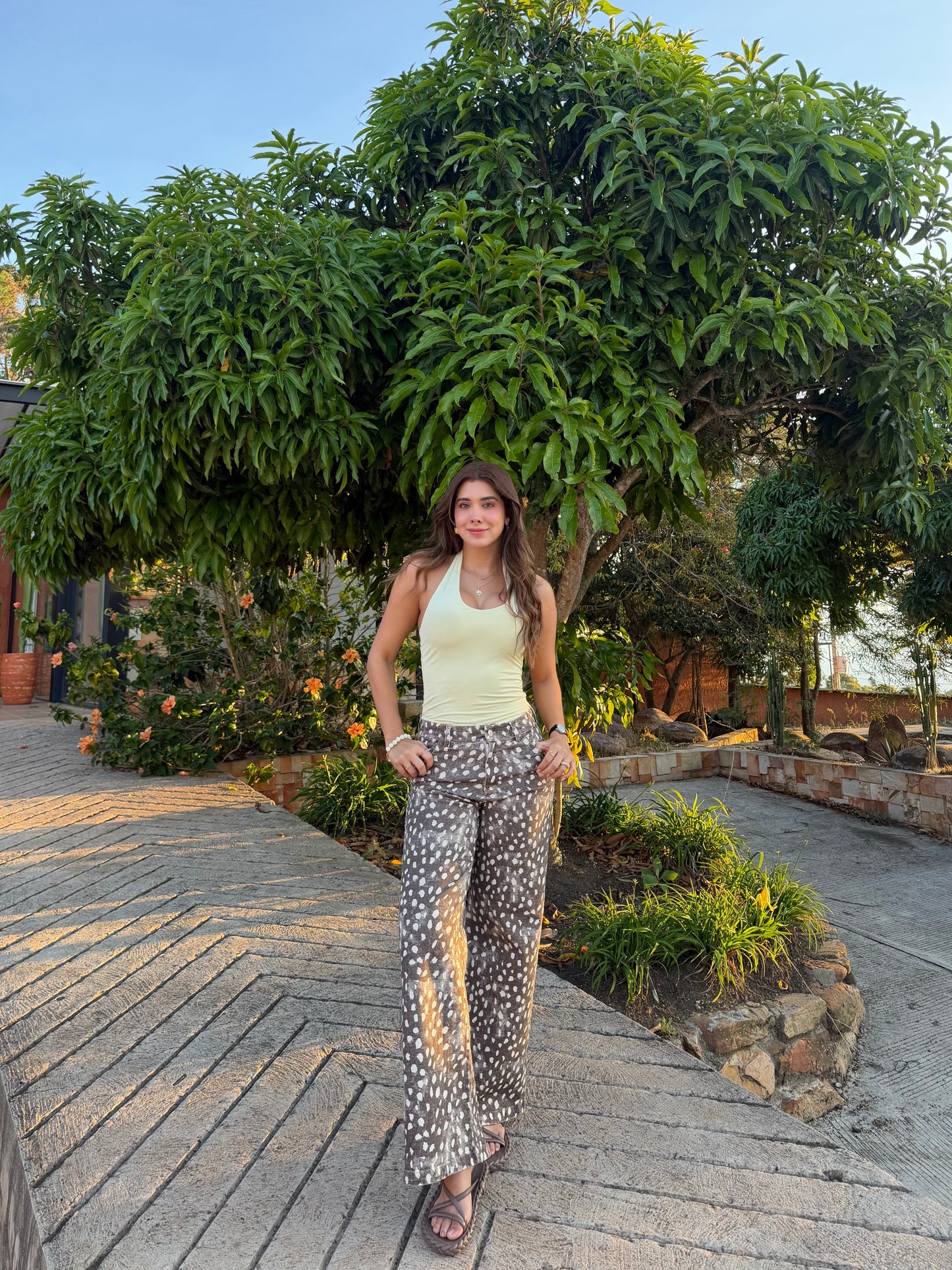 Jean Pergamino Café